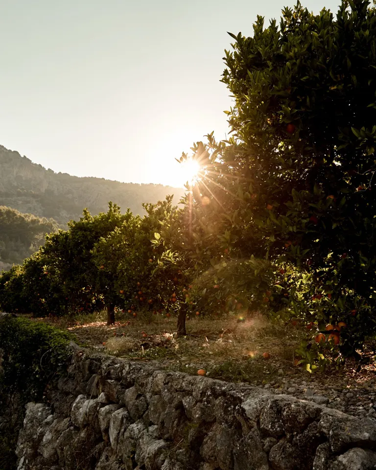 06 Trippin Slow Travel