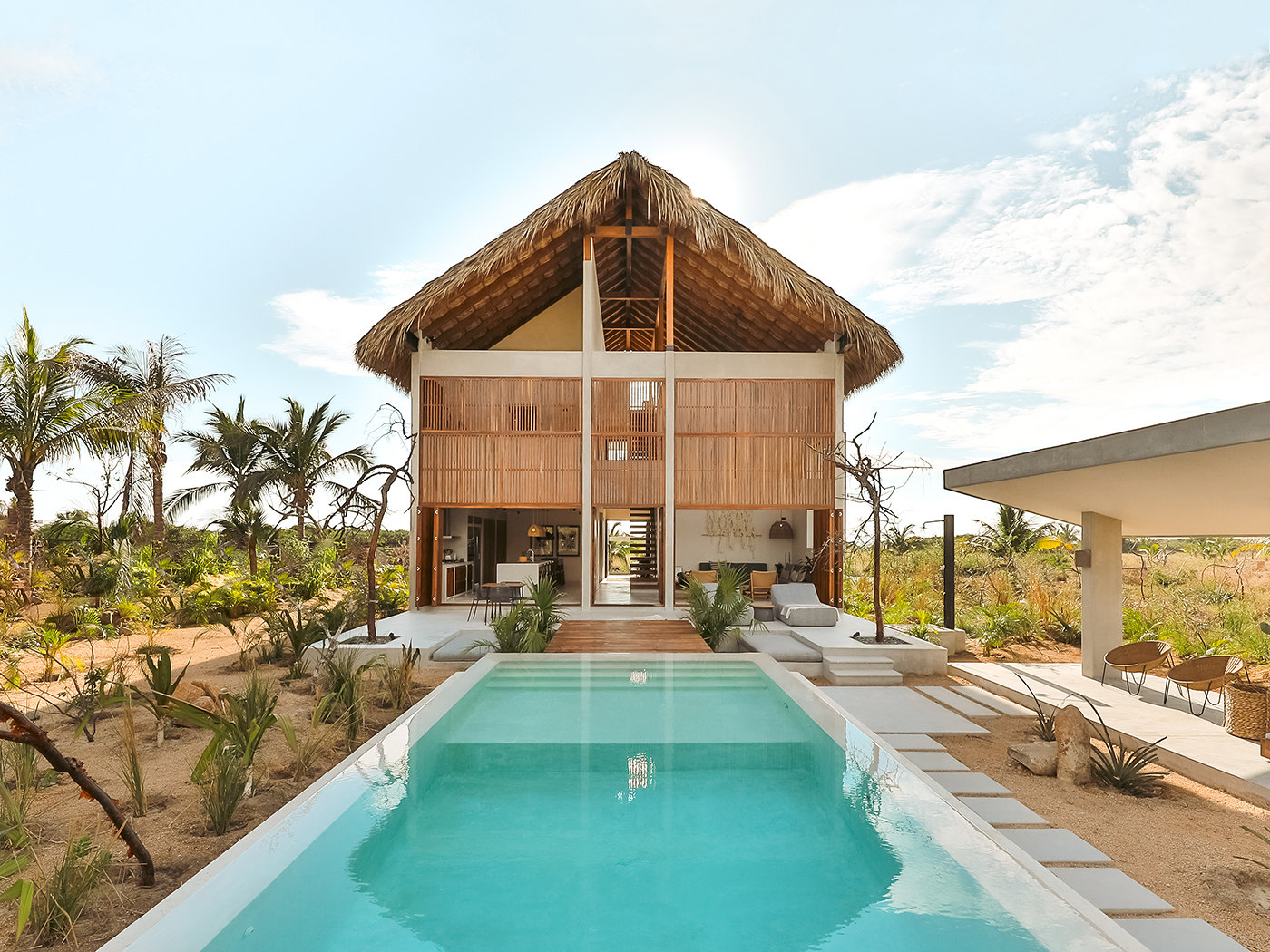 Musa Casa Parota R 01