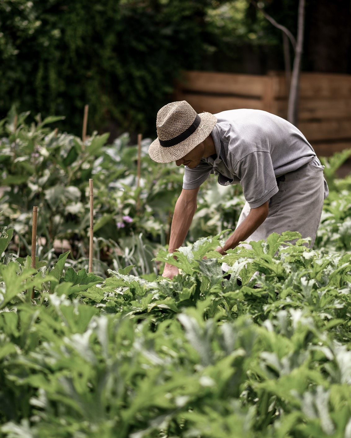 06 SP Parkhotel Mondschein Farm To Table