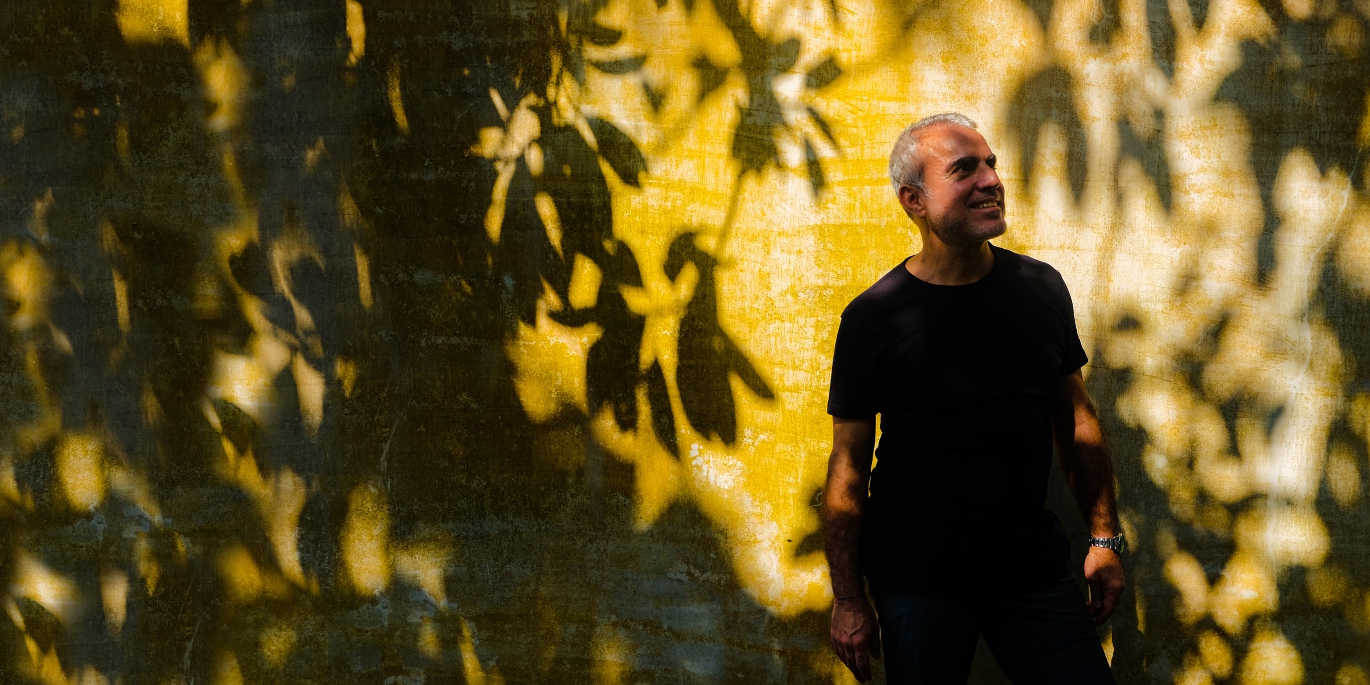 MBO La Maison Palmier Header