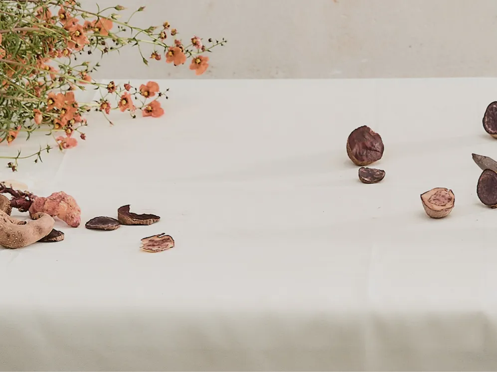 Pachamama's Land Part III 001