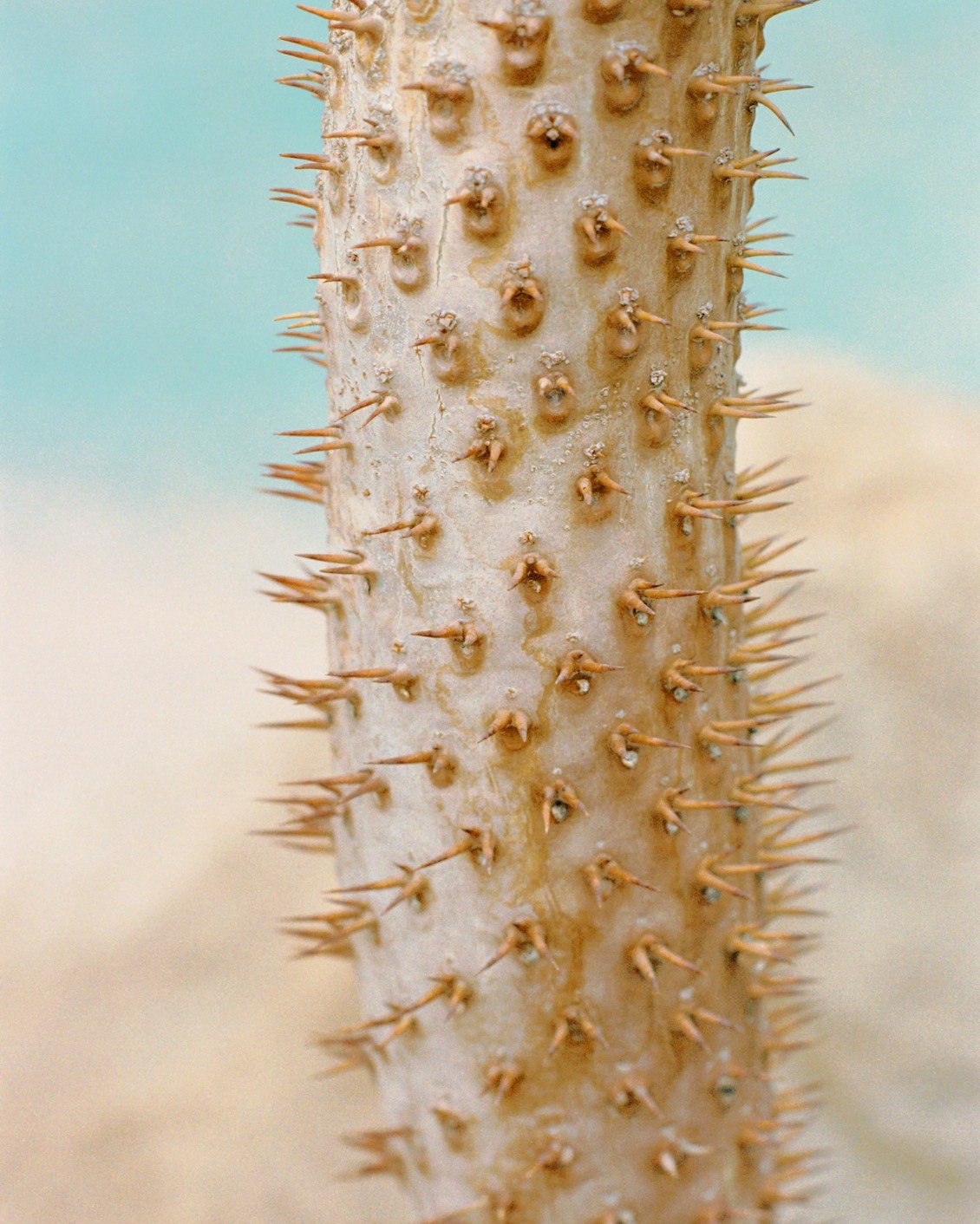 DH Culture BP Arianna Lago 19