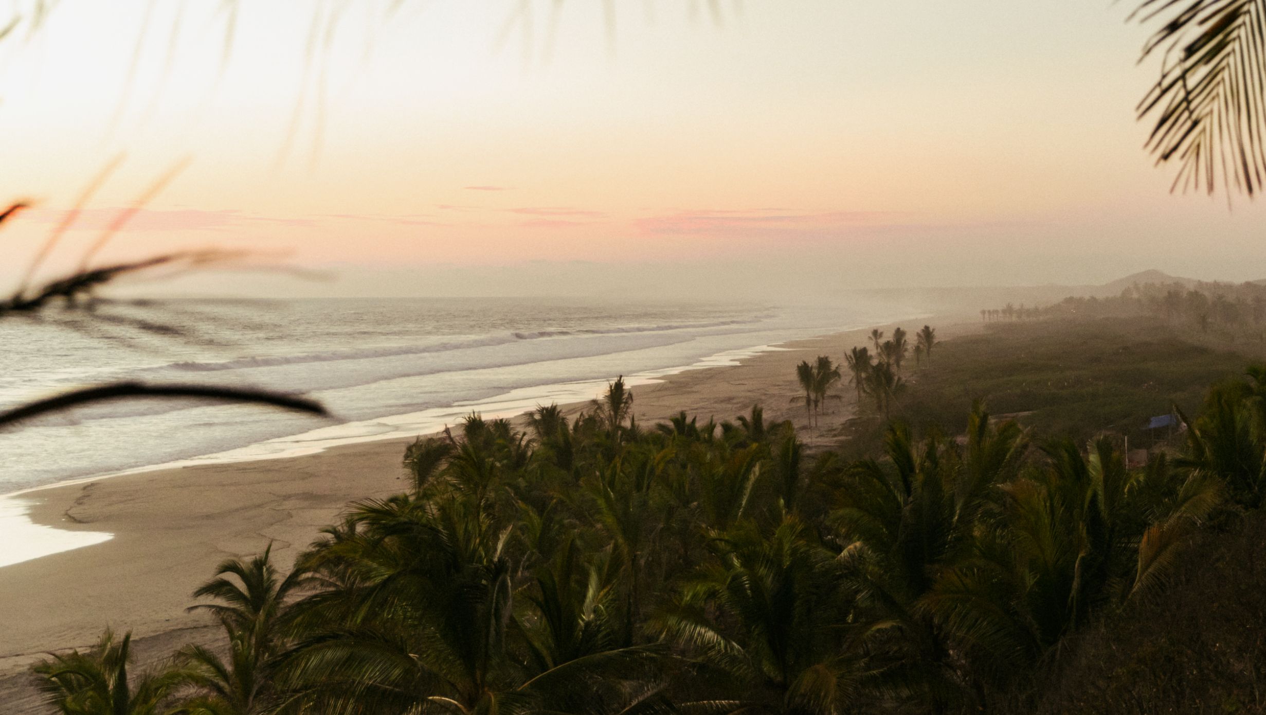 Musa Theme Box 03 Location 2