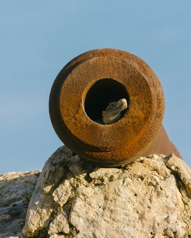012 Rodrigo Juarez Bacalar Wildlife