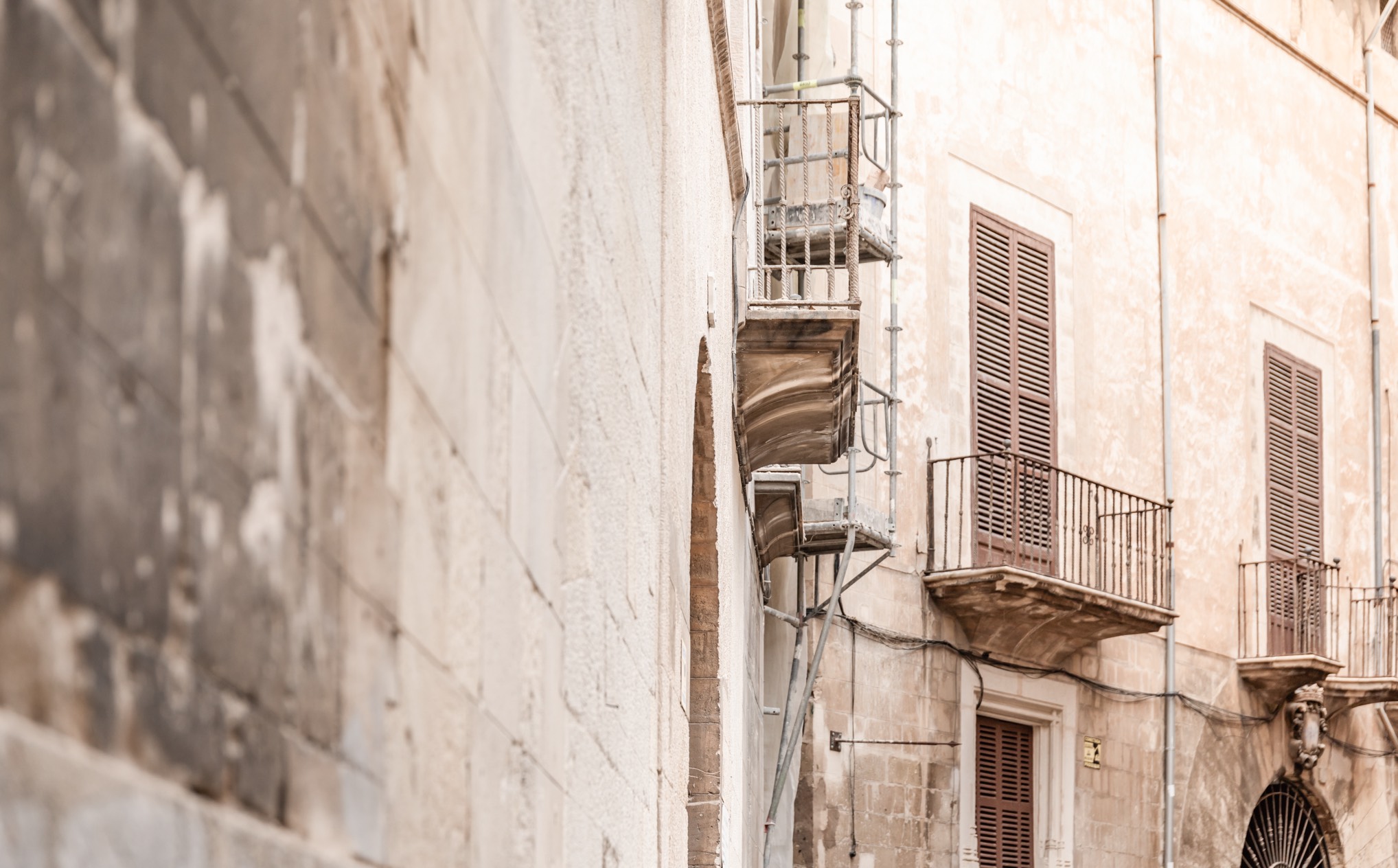 015 SP Nobis Palma Carousel 03 (1)