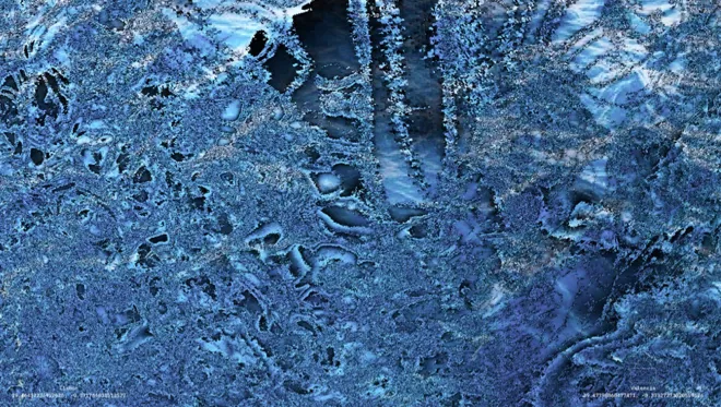 003 FL Pauline Foessel