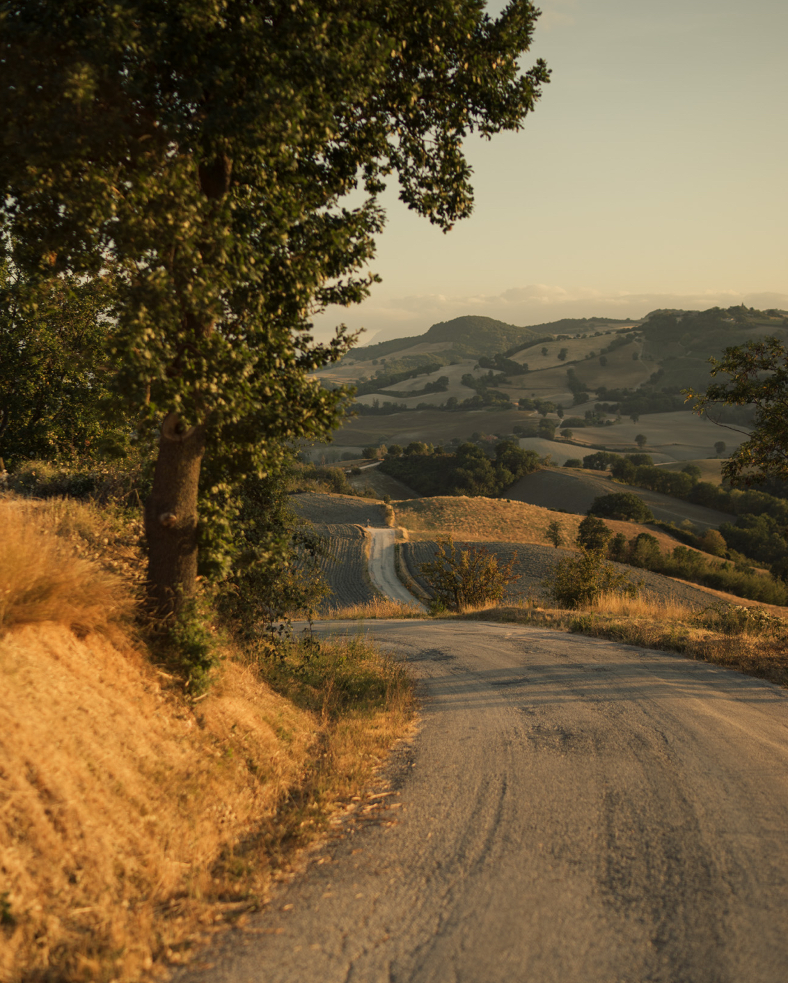 08B TGT Katie Mcknoulty