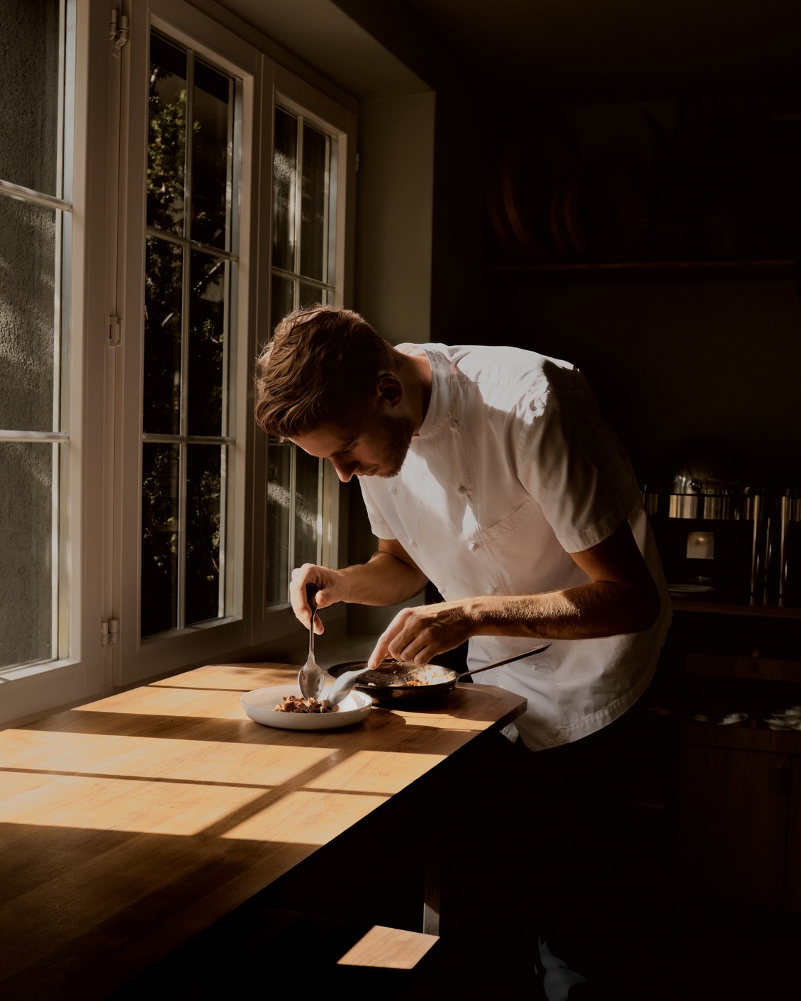 07 The Cambrian Mushroom Foraging