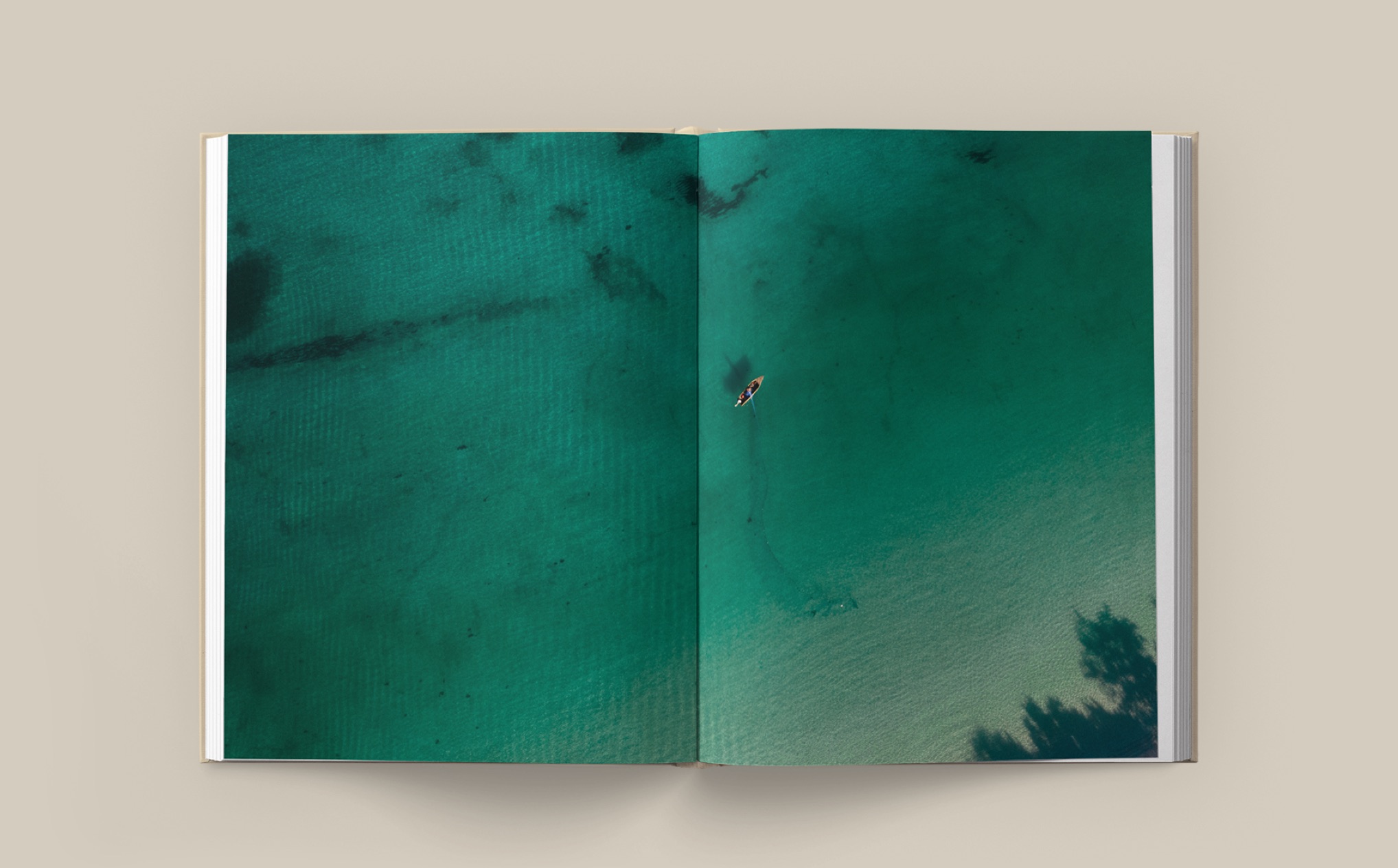 006.2 DH Book2022 Intro BP Layout