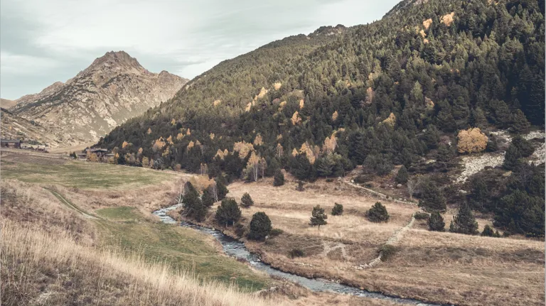 Journal Article Autumn 2023 19