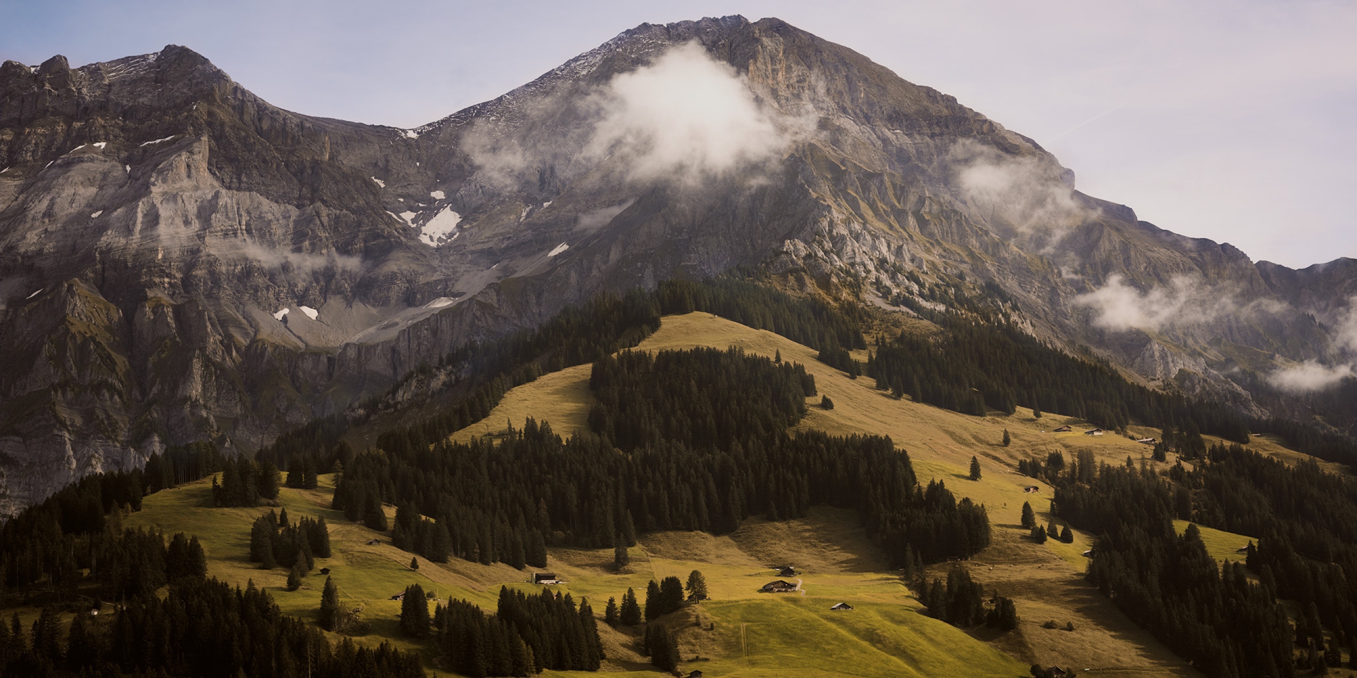 01 The Cambrian Mushroom Foraging