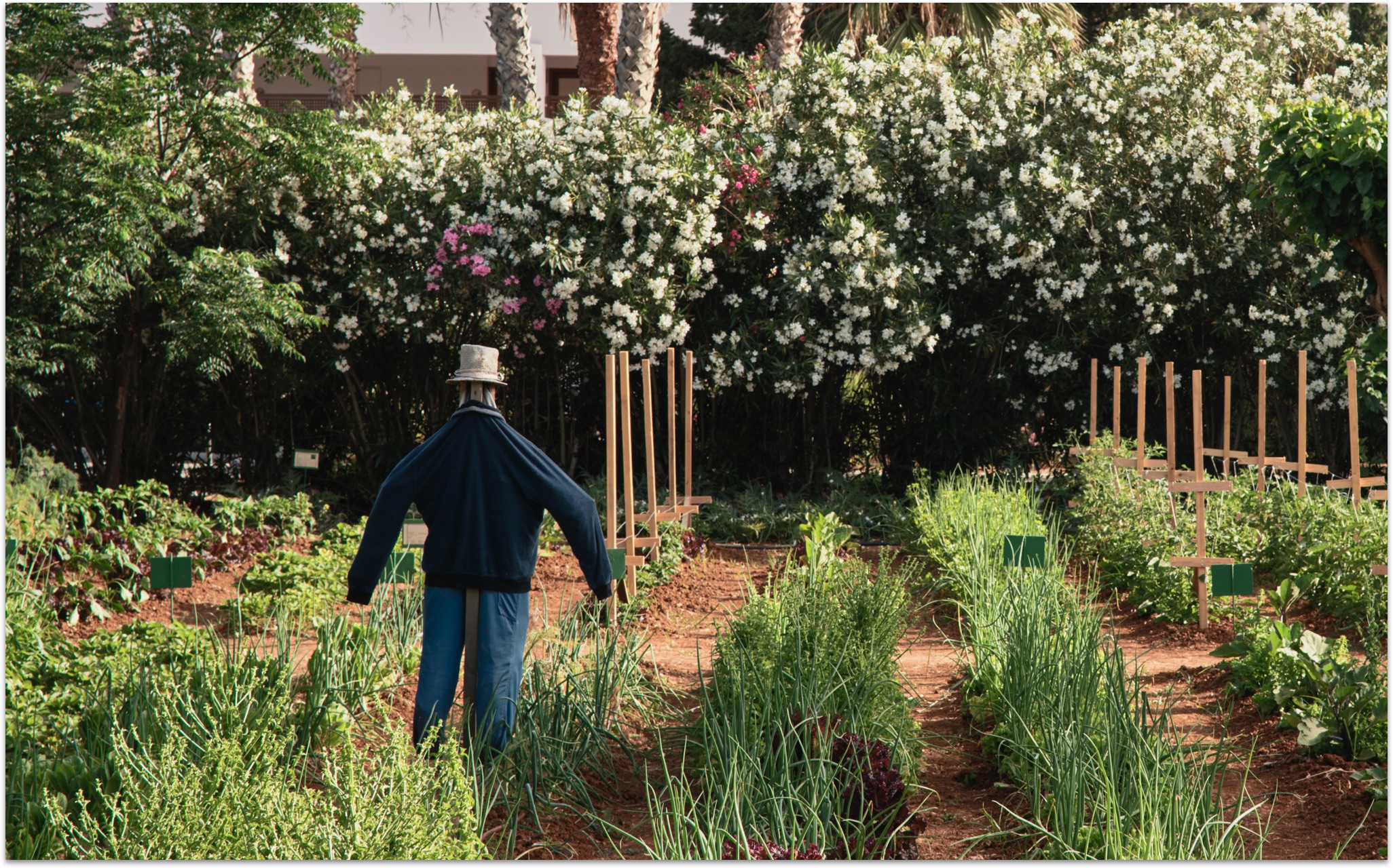 Cretan Malia SP New 04 A