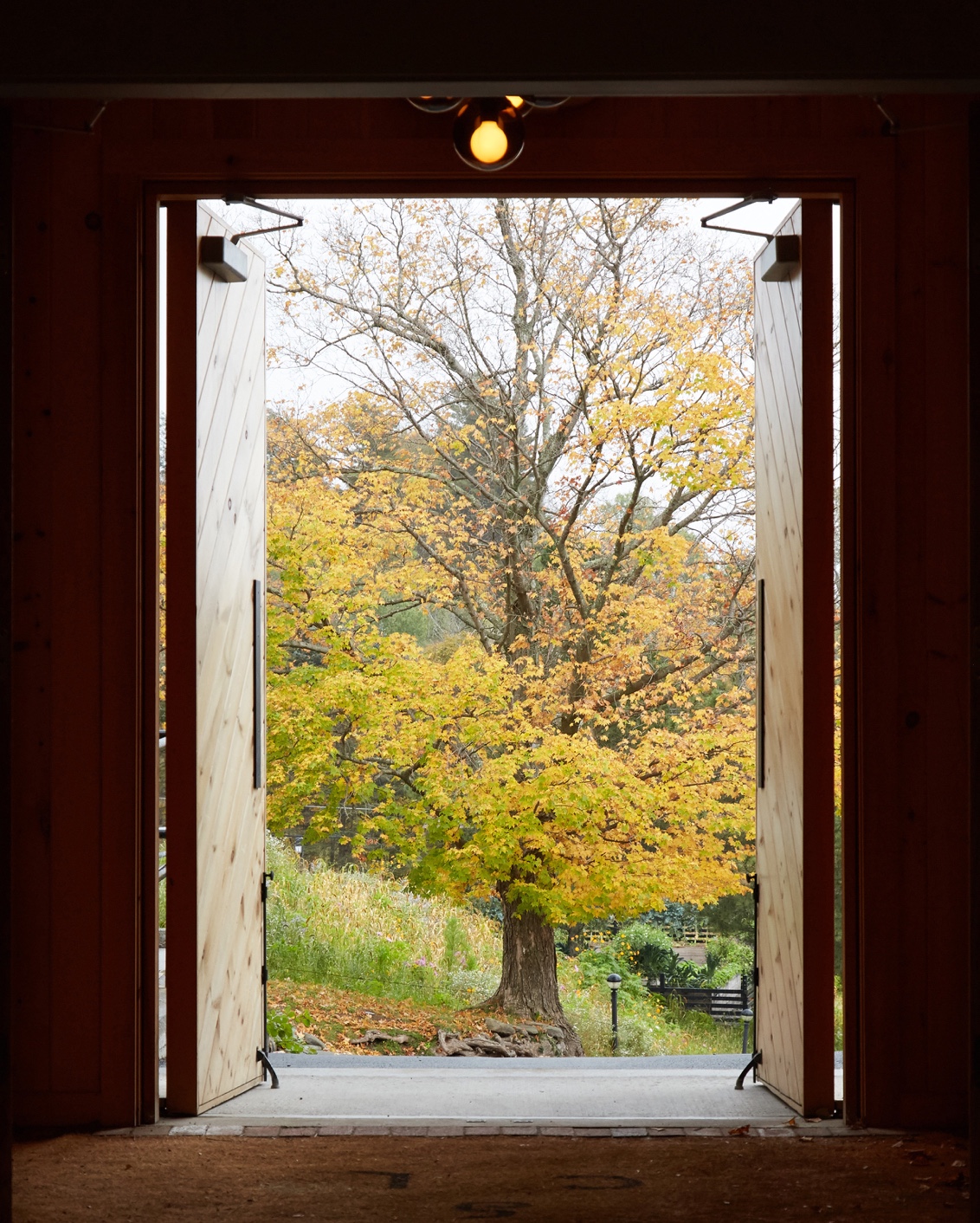 04 Culture Blogpost Fall Foliage