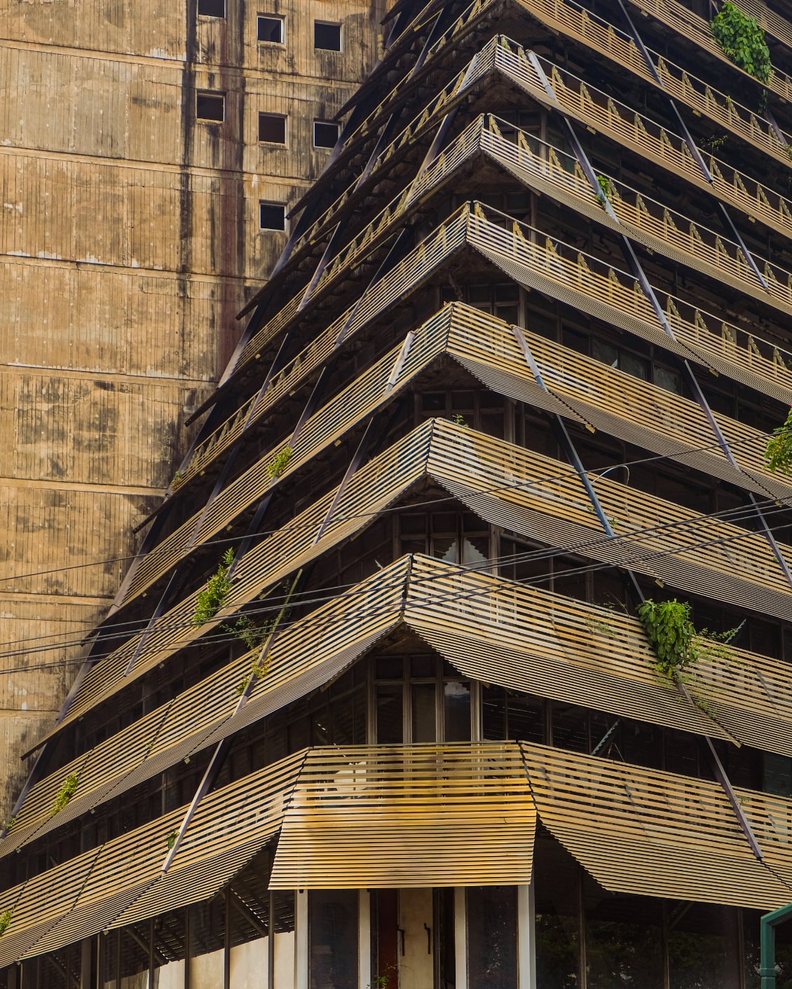 MBO La Maison Palmier Image 05