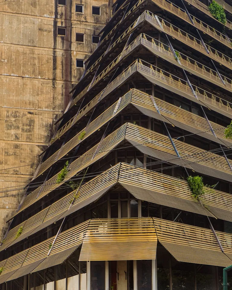 MBO La Maison Palmier Image 05