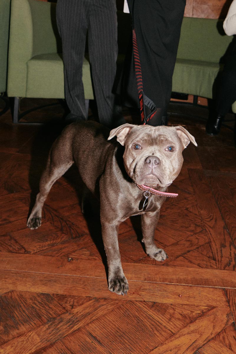 DH SALES23 S London Travel Pro 09