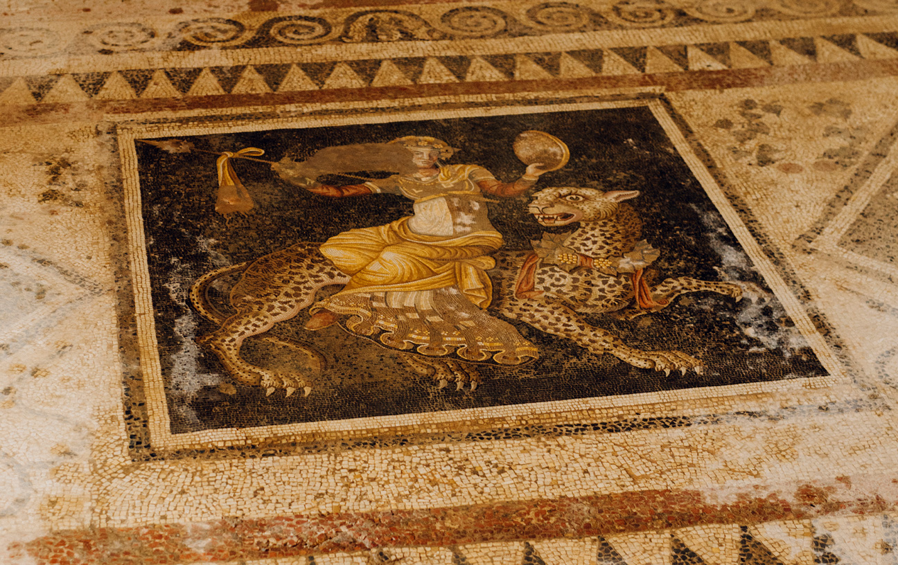 Ariana Vafadari Cover 02