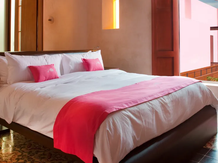 Rosas Y Xocolate Suite Xocolate R R2