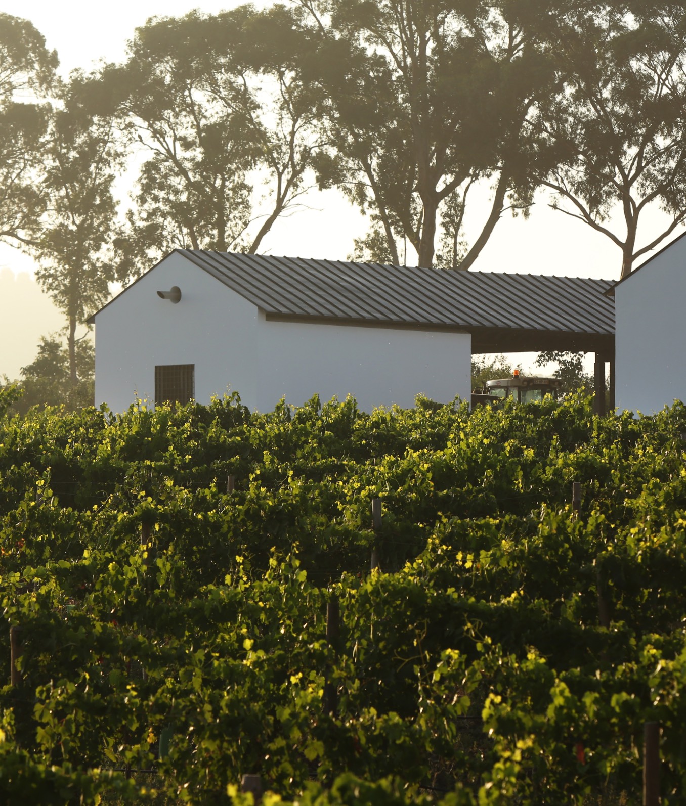 Torre De Palma Wine Hotel Theme Box 02 Food And Drink 1