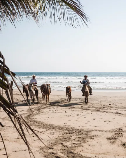 003 Lo Sereno Casa De Playa Beach Horses