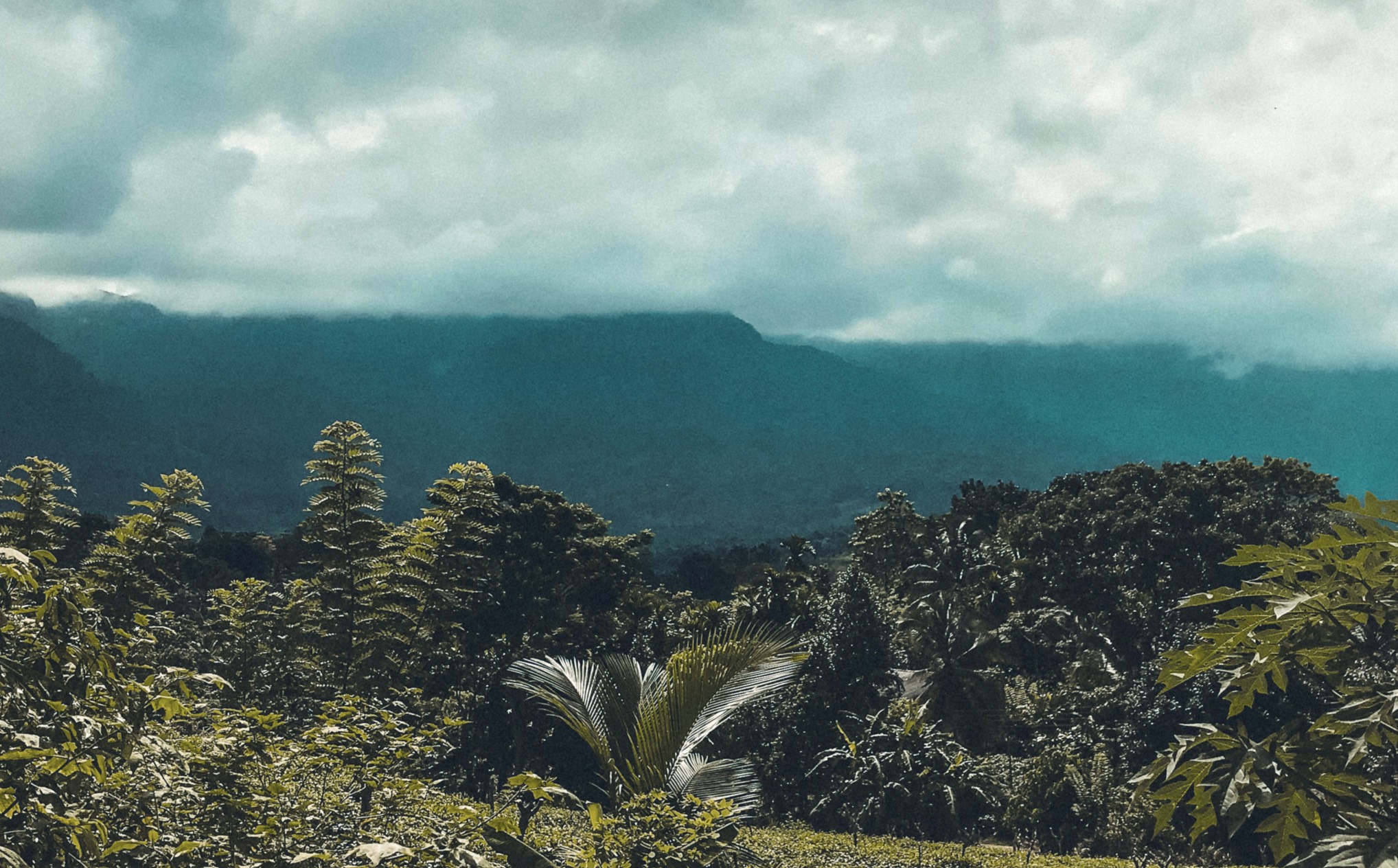 007 Basium Blogspot (1)