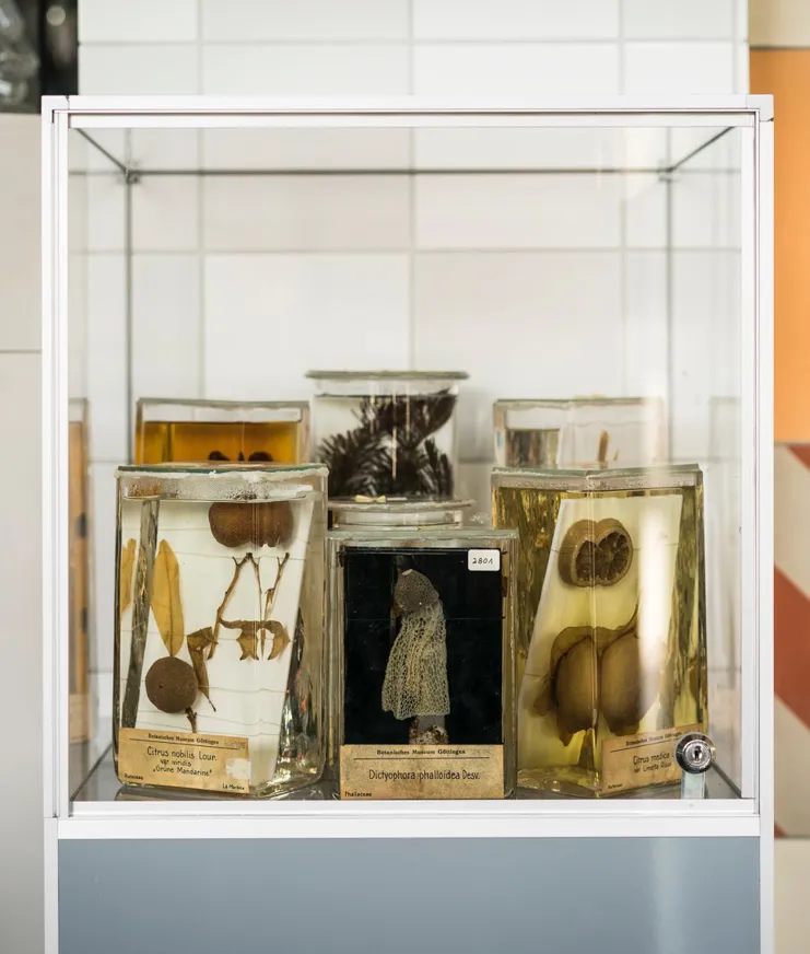 Freigeist Goettingen 01