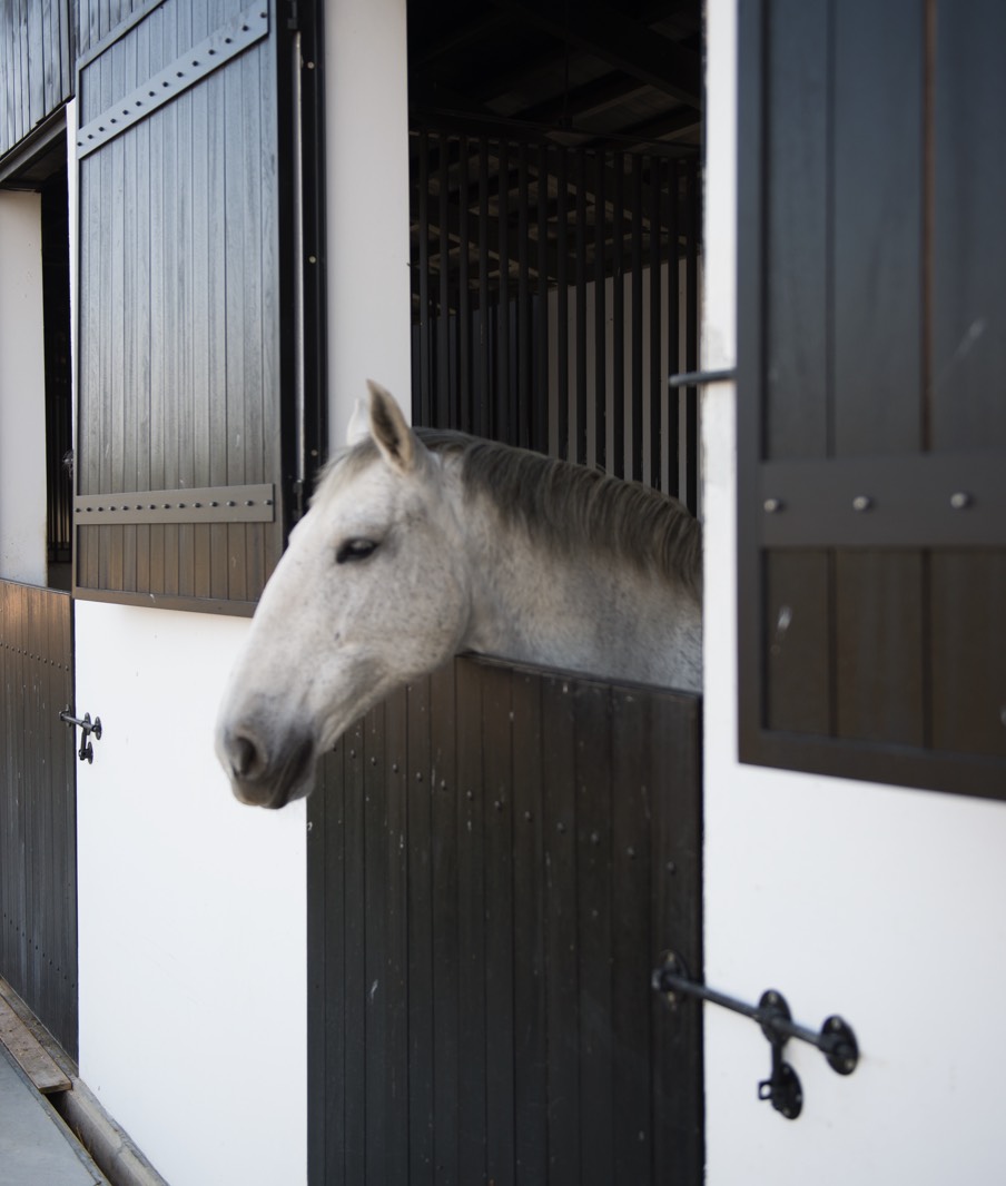 Torre De Palma Wine Hotel Theme Box 04 Activties