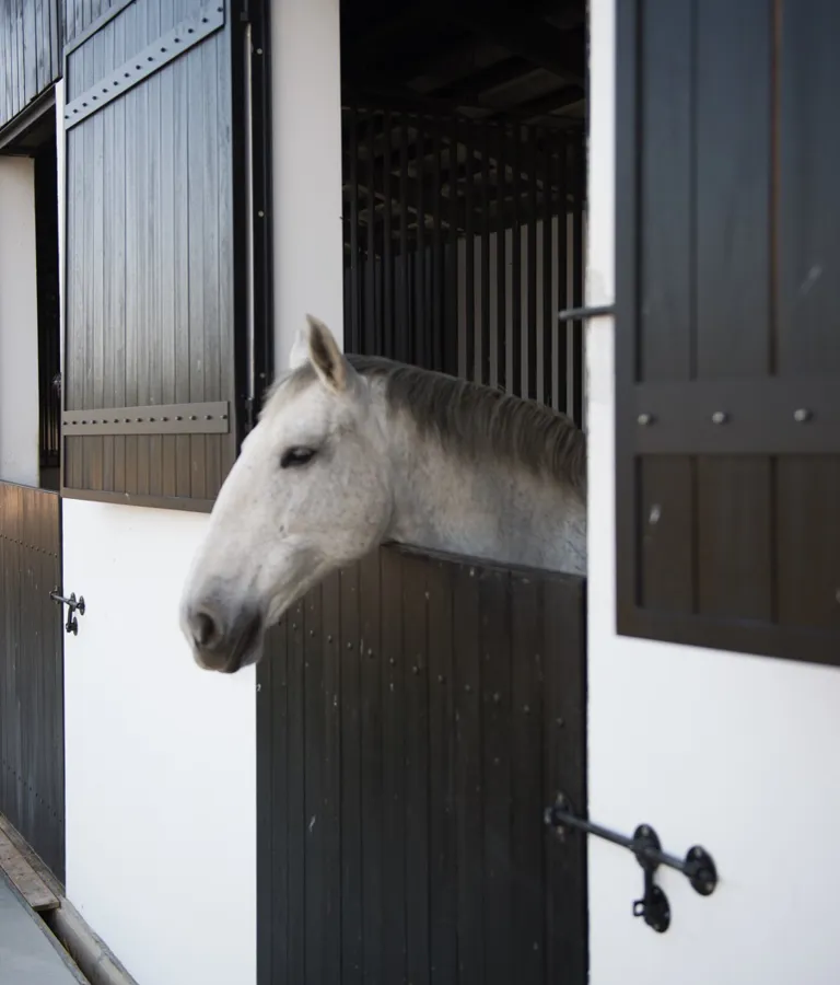 Torre De Palma Wine Hotel Theme Box 04 Activties