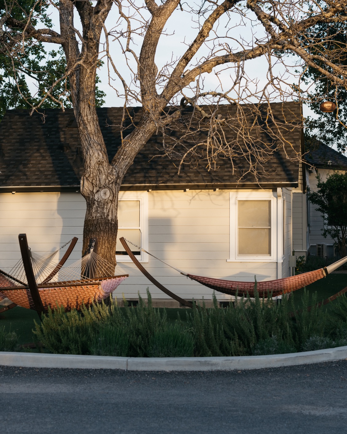 009 MBO Dr Wilkinson