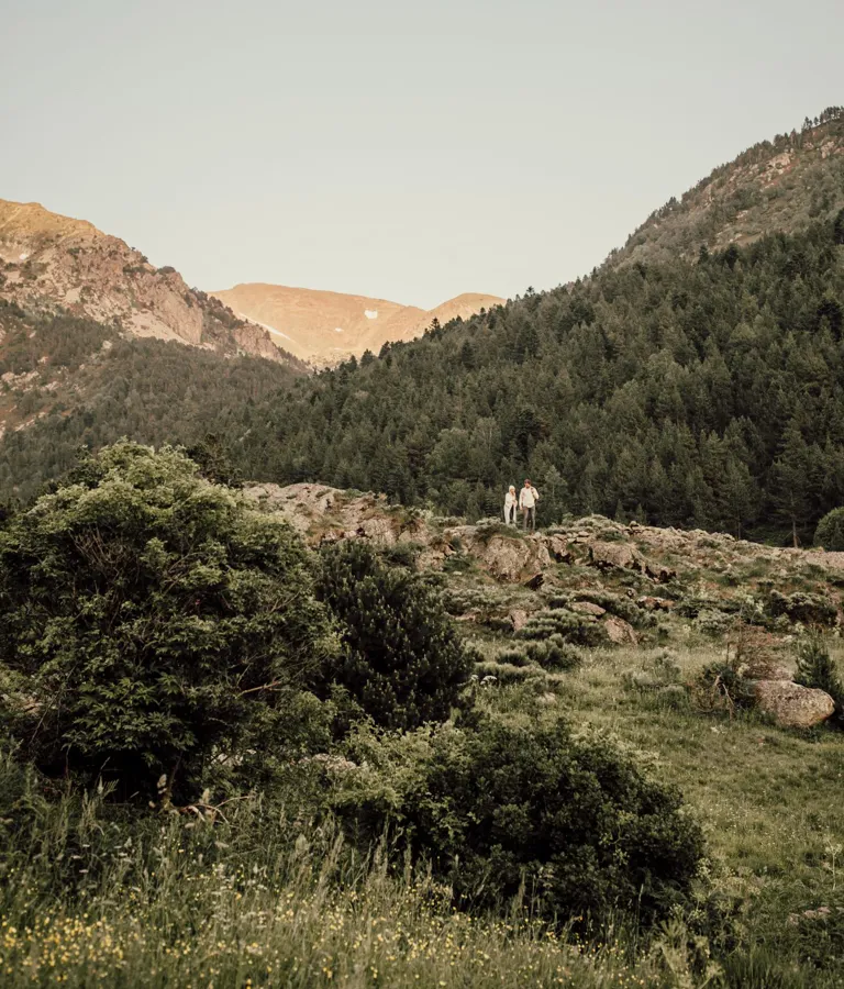 L Ovella Negra Mountain Lodge Theme Box 02 Destination