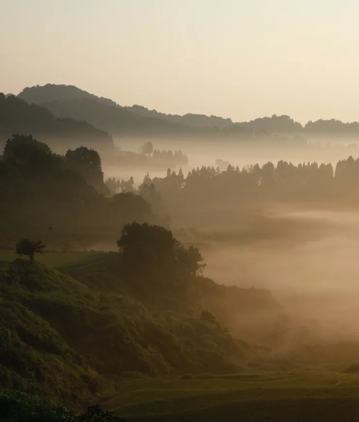 009 Foggy Destinations BP