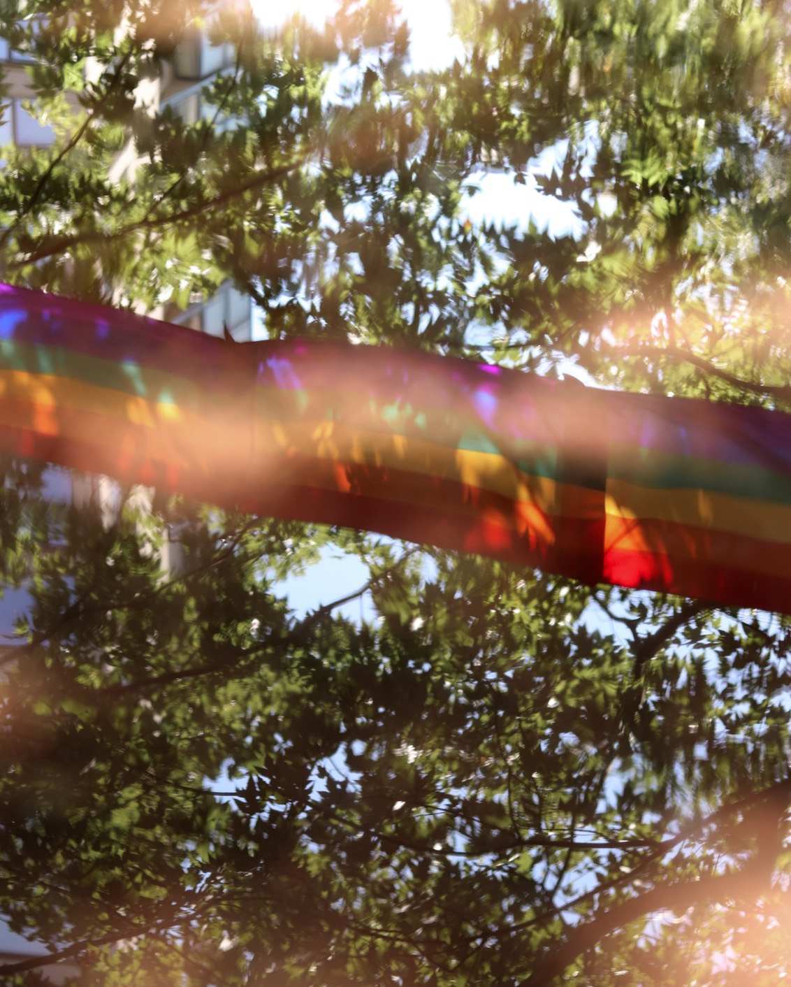 017 BP Pride 2022 Flag Tree