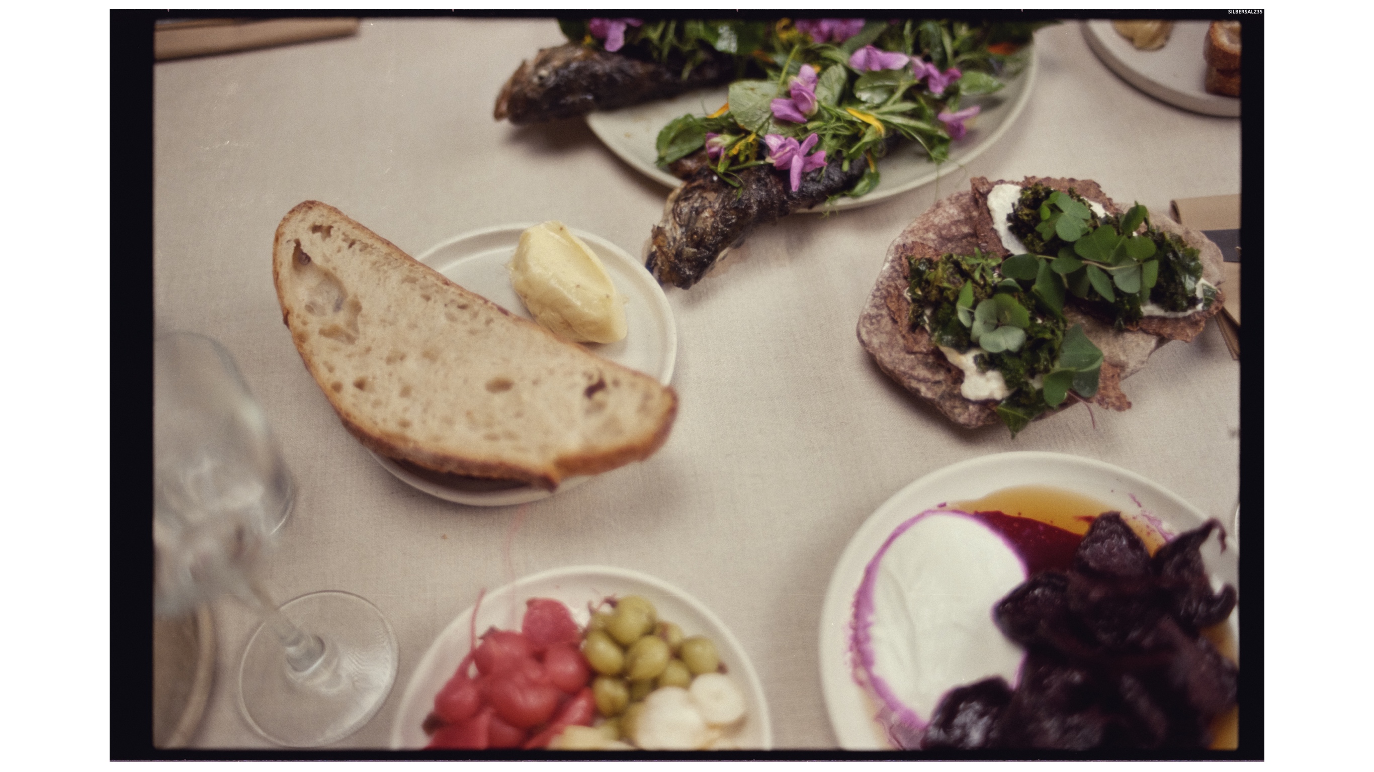 04C Vadim Otto Ursus