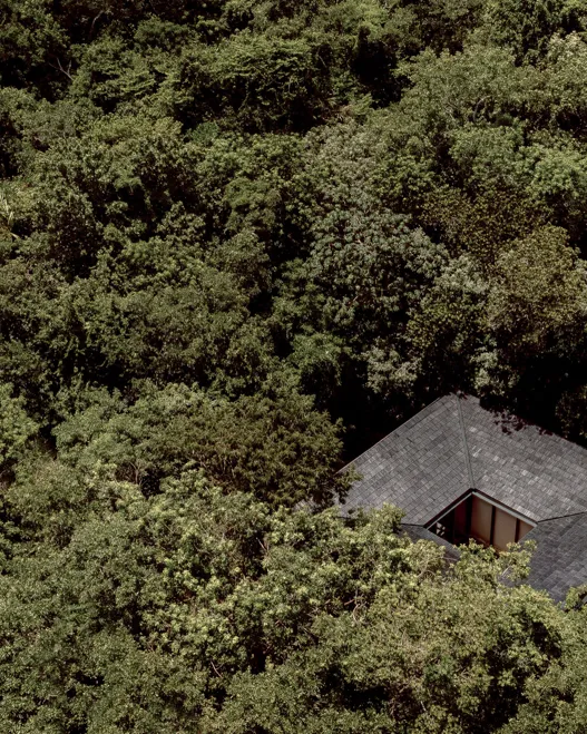 01 Biophilic Design