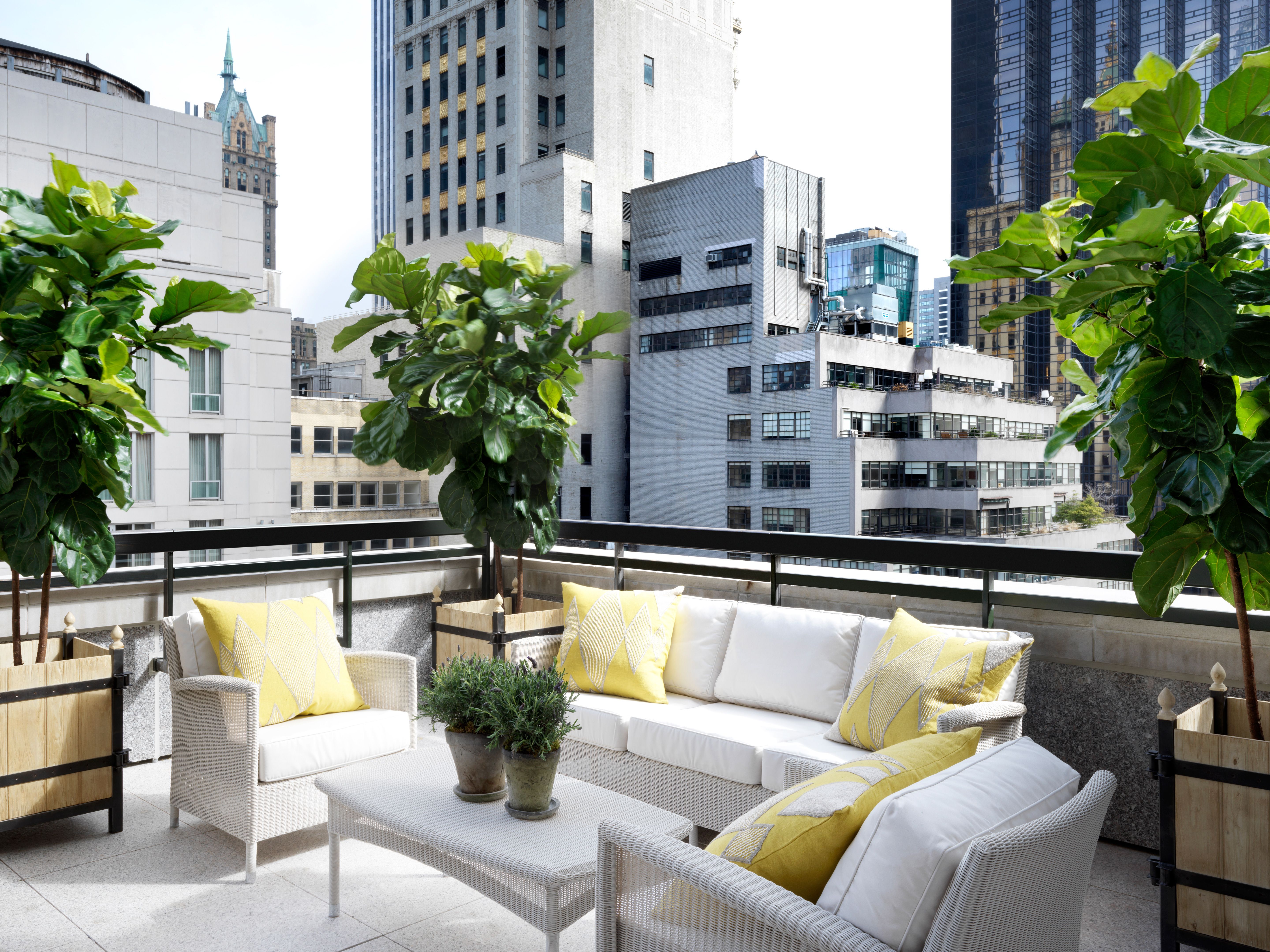 The Whitby Terrace in New York City