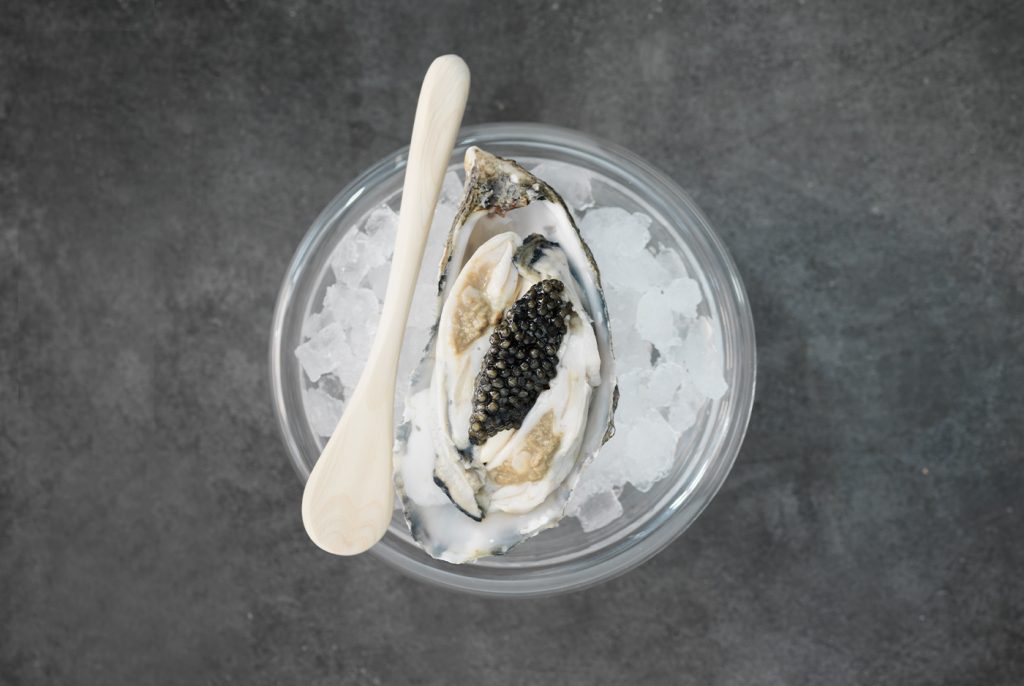 04 Image Landscape AA 1024X686