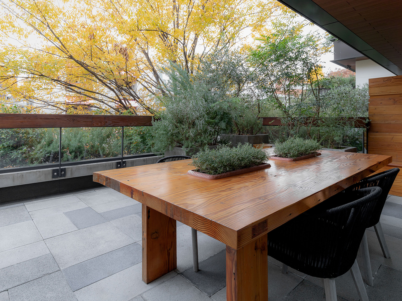 Trunk Hotel Balcony Junior Suite R 09