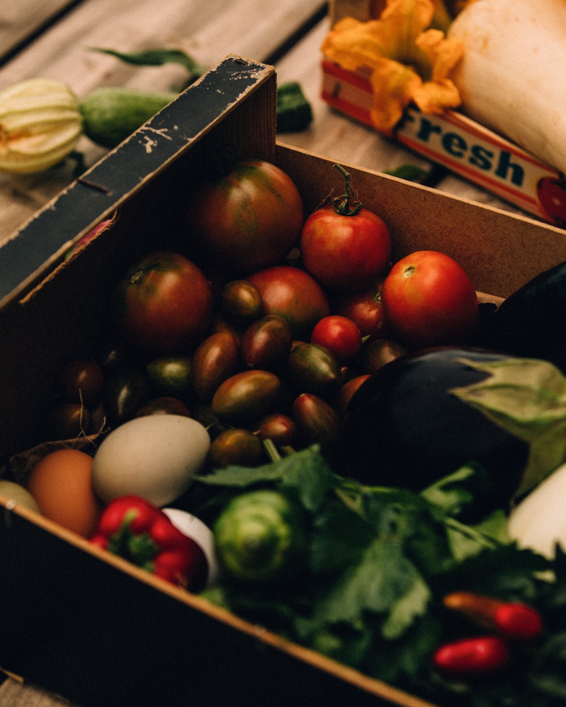 007.2 DH Book2022 Intro BP Layout