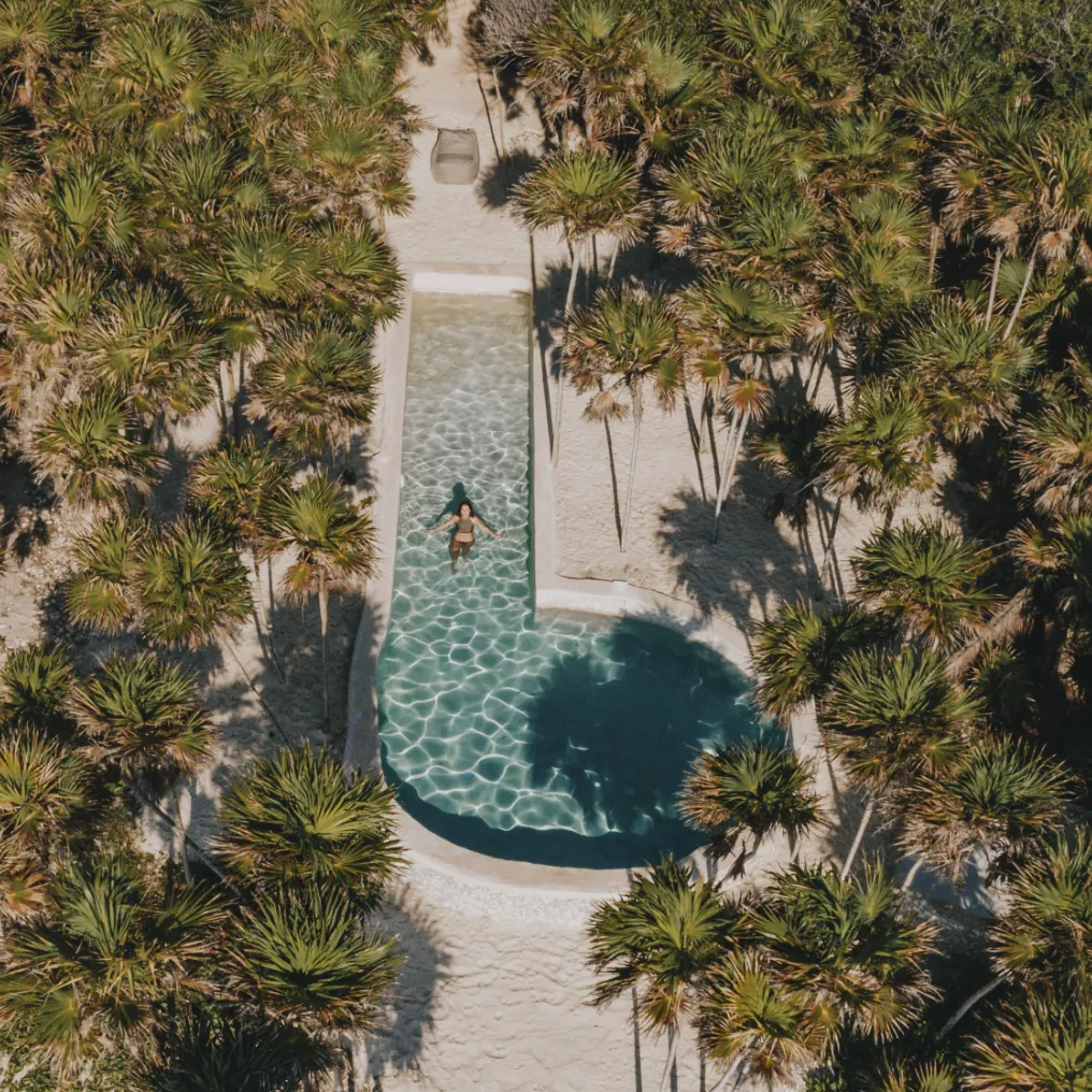 Papaya Playa Project Theme Box 01 Wellness