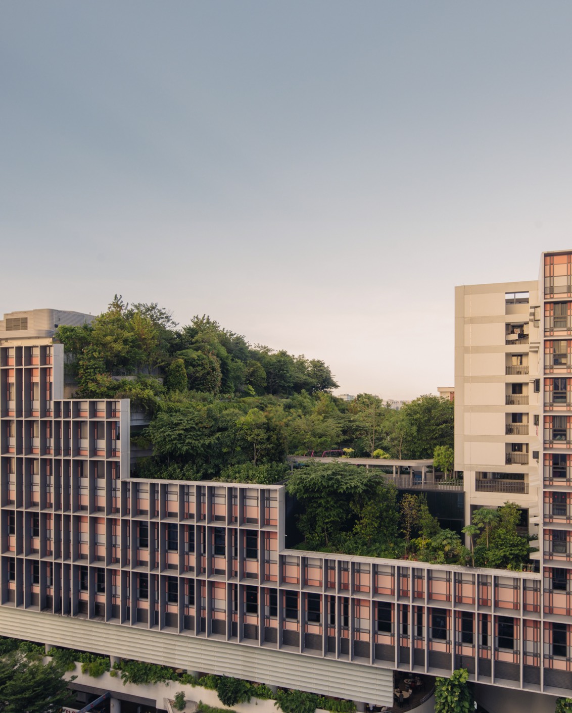 DH Originals Richard Hassell 09 B