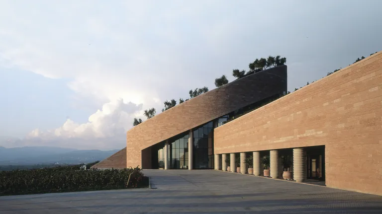 BP Wineries Architects 08