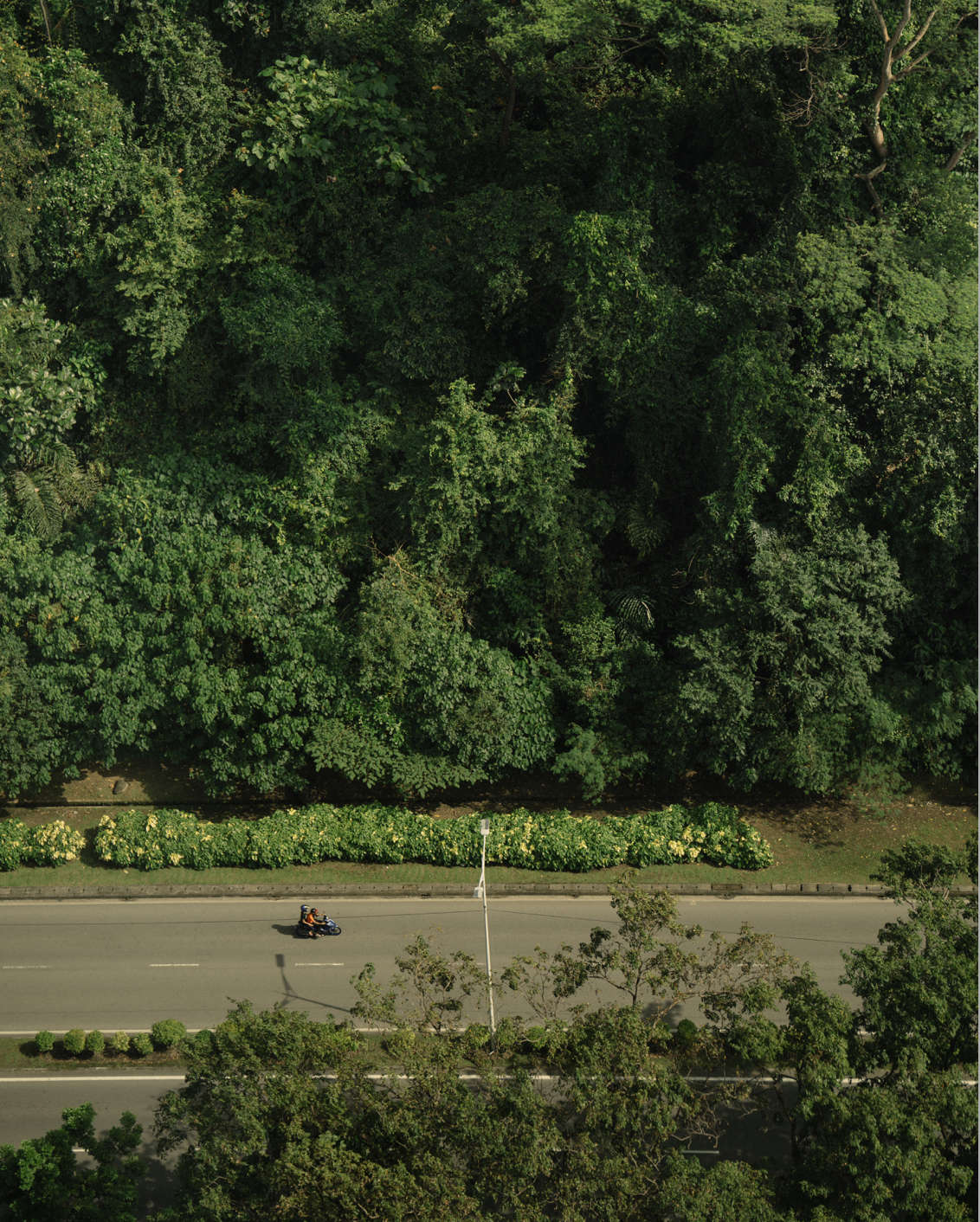 08C MBO Luma Highress