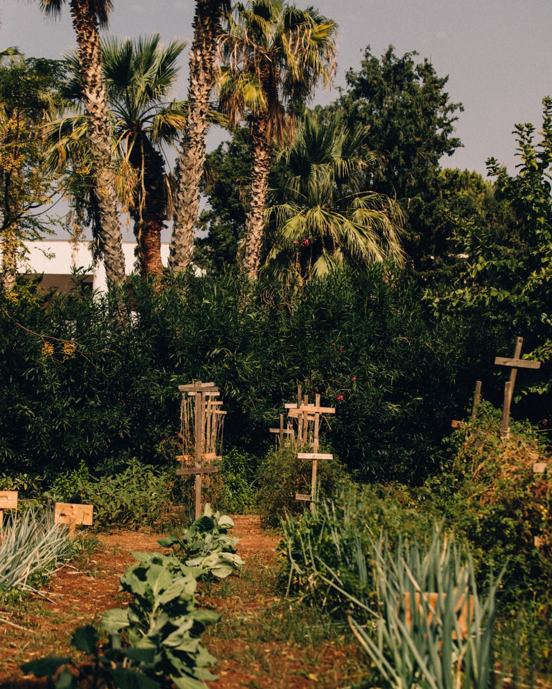 007.3 DH Book2022 Intro BP Layout