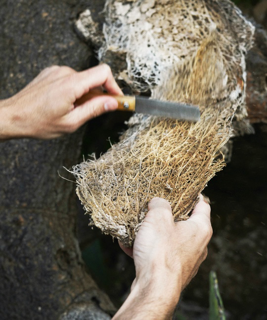 BP My Private Oddyssey 08