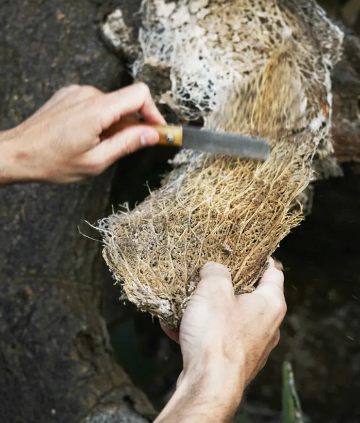 BP My Private Oddyssey 08