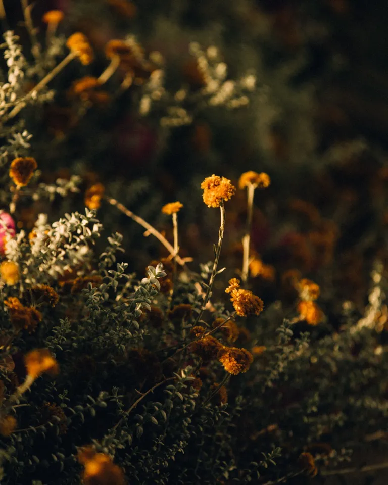 005 MBO Minos Art Beach