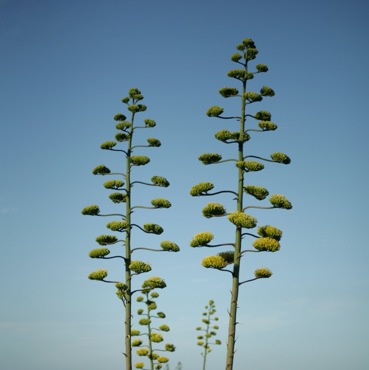 Sustainable Hotel Memmo Baleeira 01