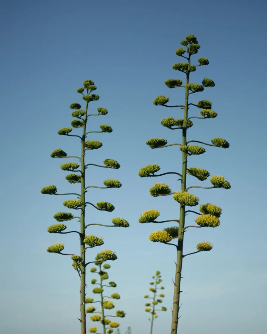 Sustainable Hotel Memmo Baleeira 01