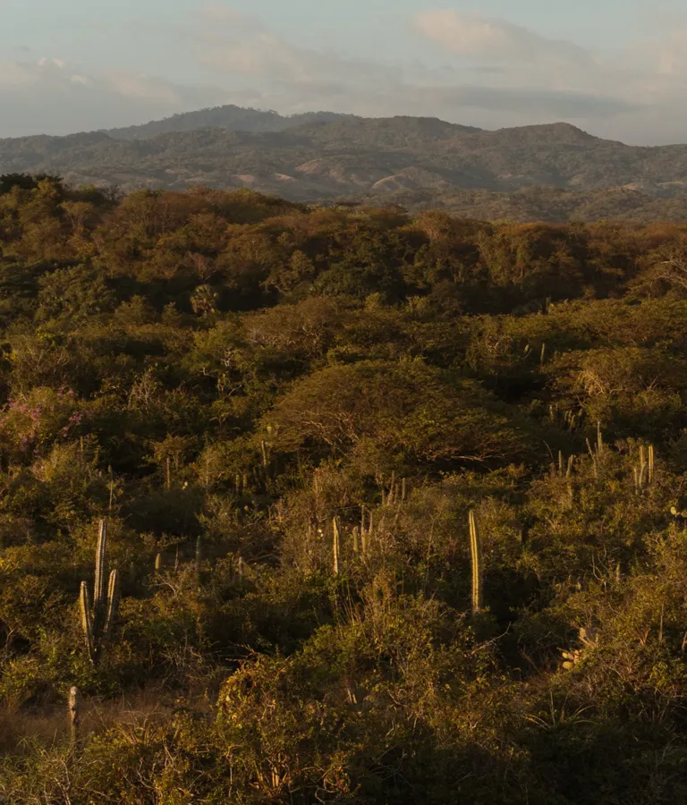 Hotel Terrestre Theme Box 02 Destination