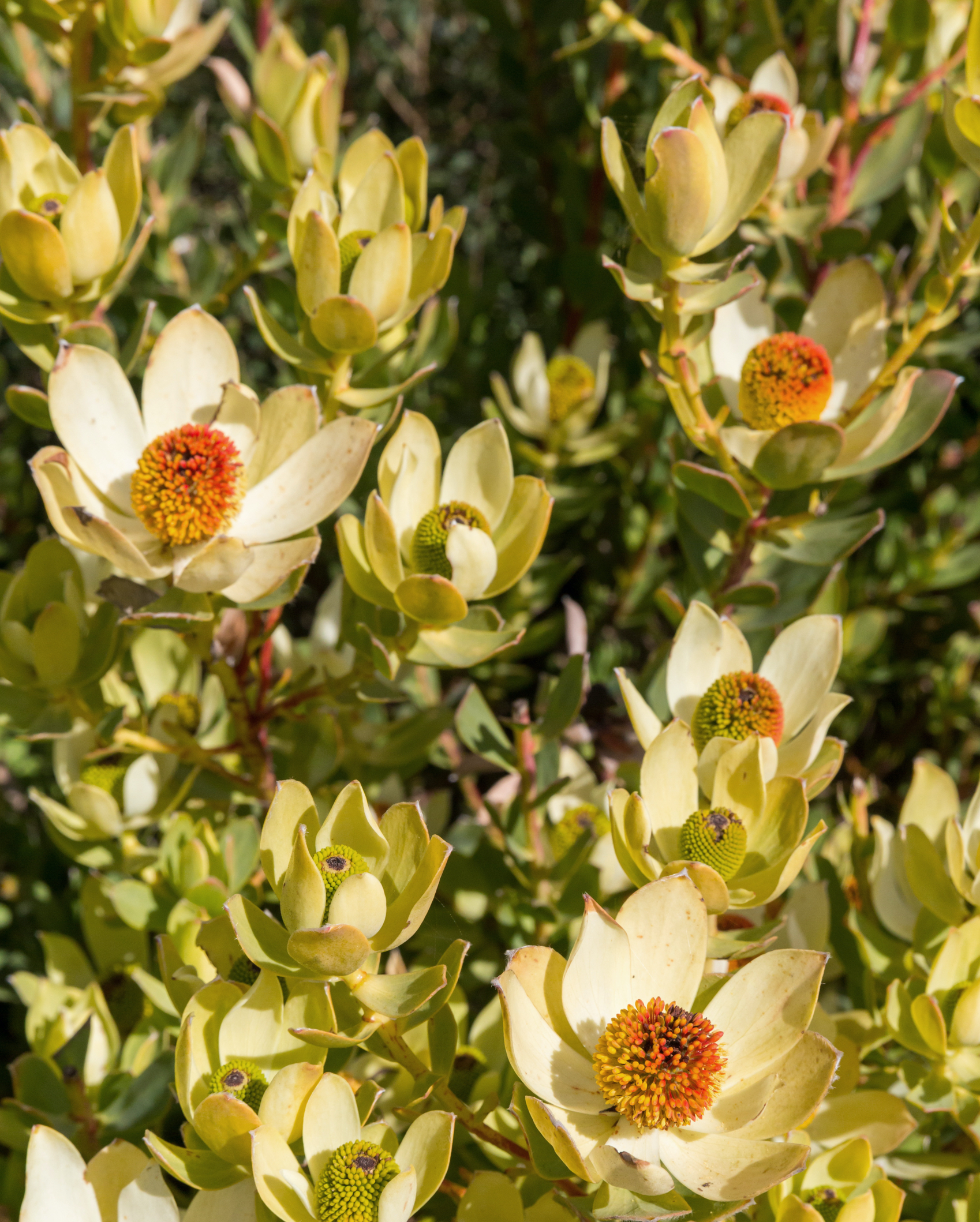 22 Destination Us West Coast